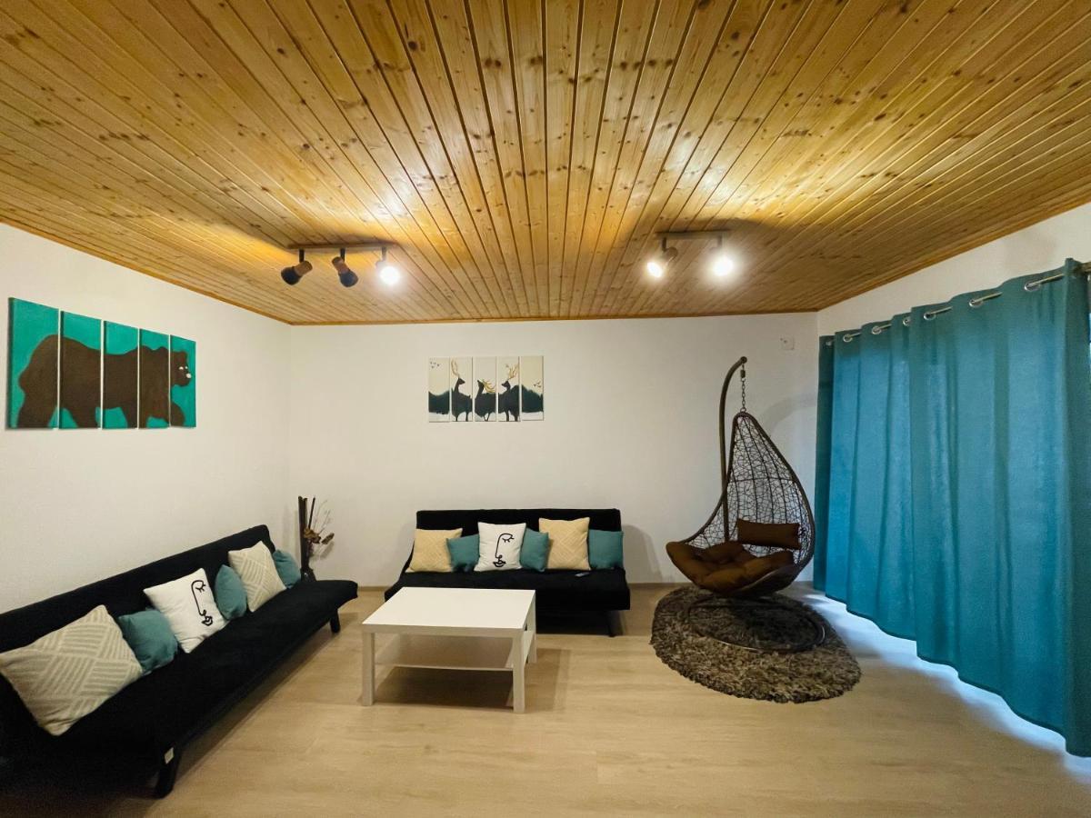 Londof Housing City Center Brasov Apartman Kültér fotó