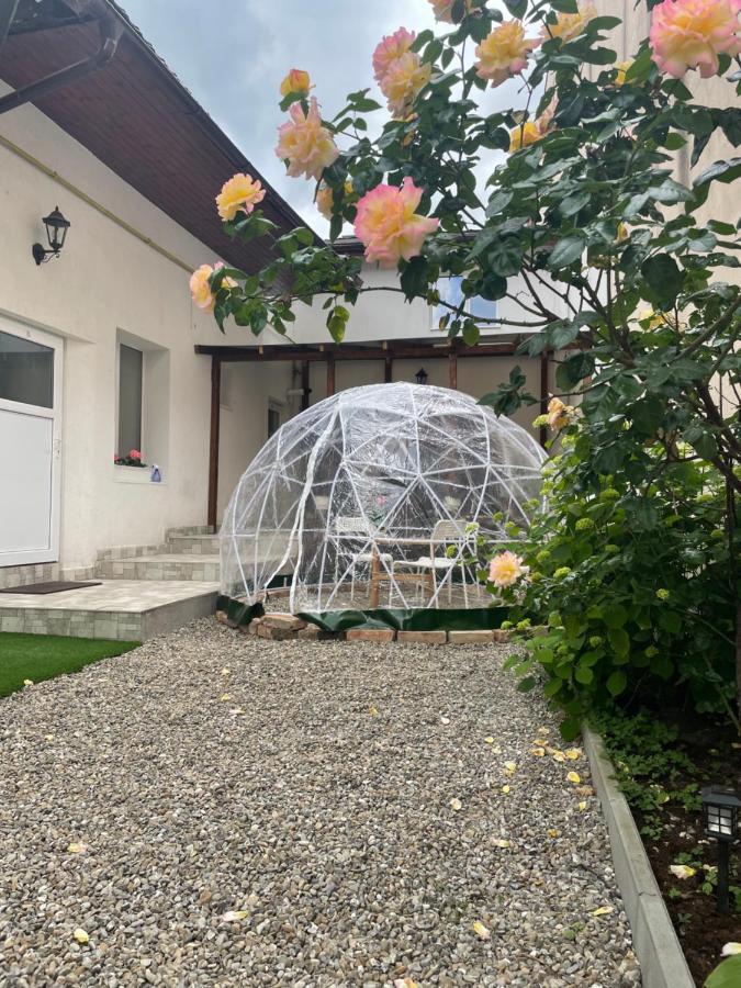 Londof Housing City Center Brasov Apartman Kültér fotó